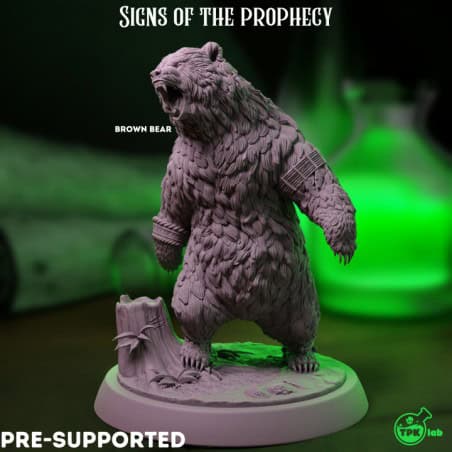 Brown Bear