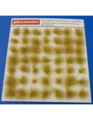 Tufts of grass-dry