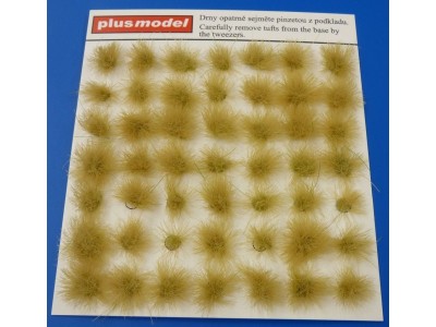 Tufts of grass-dry