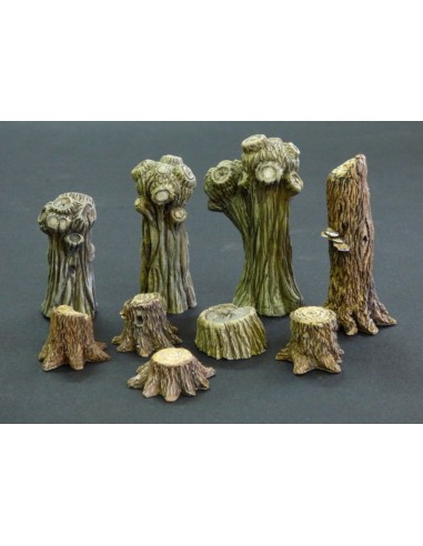 Willows and stumps