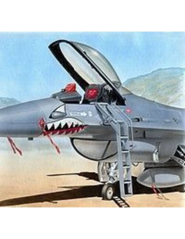 Ladder F-16