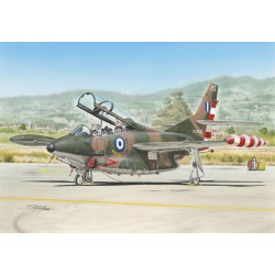 T-2 Buckeye "Camouflaged Trainer"