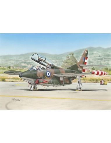 T-2 Buckeye "Camouflaged Trainer"