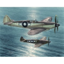 Seafire Mk.XV "Far East Service"