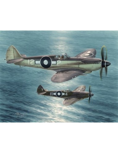 Seafire Mk.XV "Far East Service"