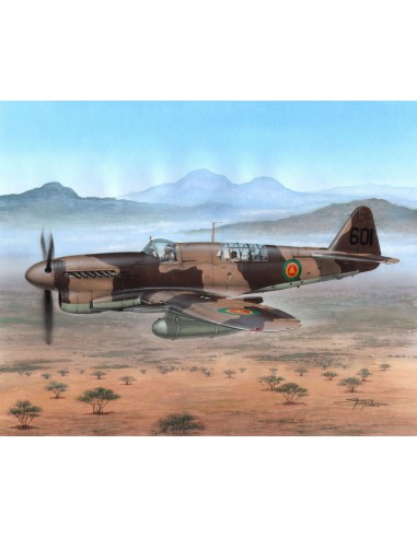 Fairey Firefly FR Mk.I Foregin Post War