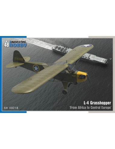 L-4 Grasshopper From Africa to Central Europe