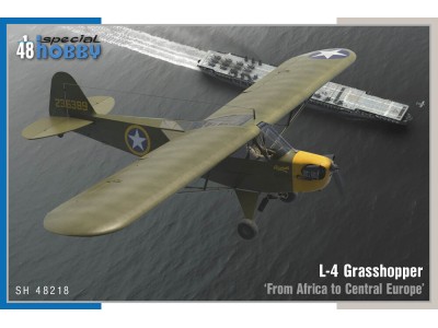 L-4 Grasshopper From Africa to Central Europe