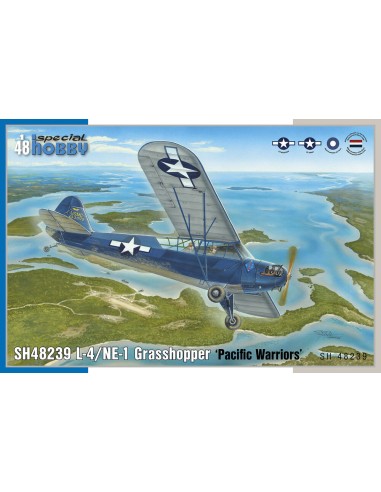 L-4/NE-1 Grasshopper ‘Pacific Warriors’