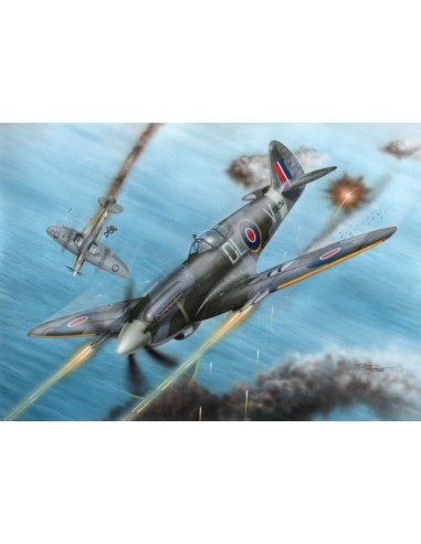 Spitfire F Mk.21 No.91 Sq.RAF in WWII