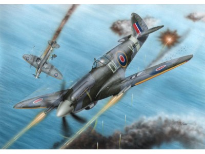 Spitfire F Mk.21 No.91 Sq.RAF in WWII
