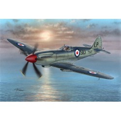 Supermarine Seafire Mk.45