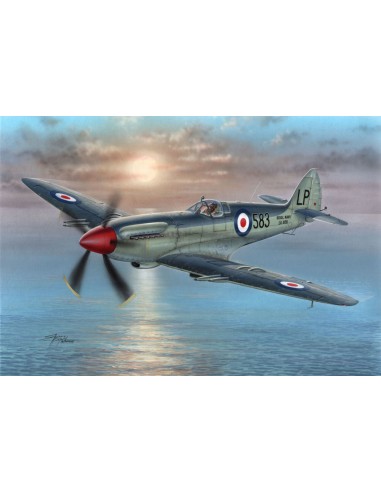 Supermarine Seafire Mk.45