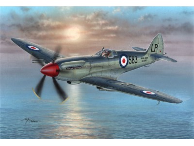 Supermarine Seafire Mk.45