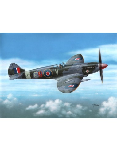 Spitfire F Mk 21 "Post WWII Service"