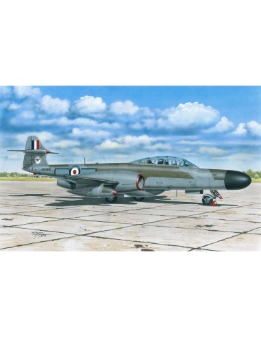 A.W. Meteor NF MK.12