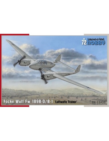 Focke Wulf Fw 189B Uhu Trainer