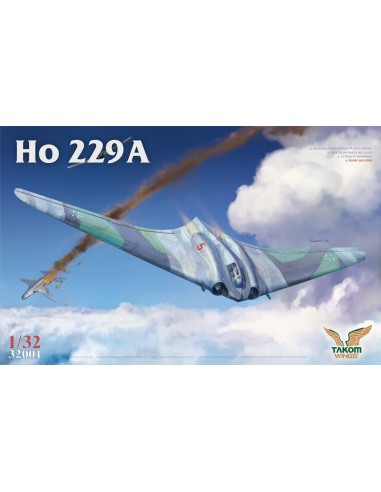 Ho 229A