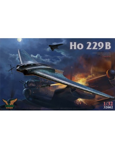 Ho 229B