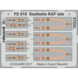 Seatbelts RAF late STEEL