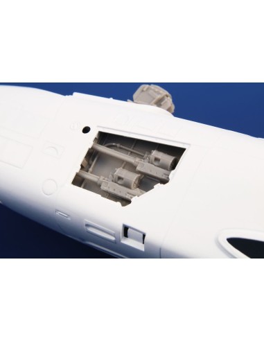 Gloster Meteor F Mk.8/9 Gun Bays