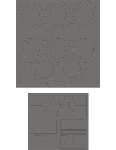 L3H163 for ICM