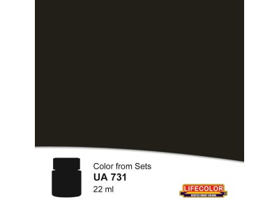 Dirty Black 22 ml