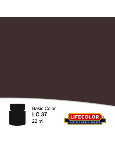 Matt Burnt Umber 22 ml