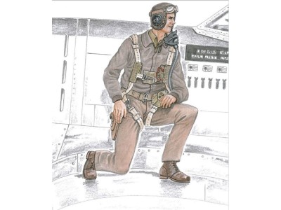 Pilot P-47 Thunderbolt