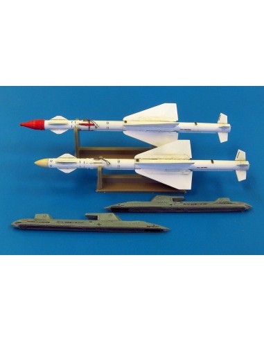 Russian missile R-24R