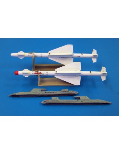 Russian missile R-24T