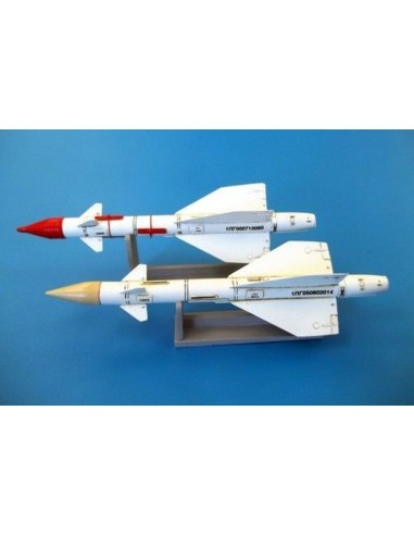 Russian missile R-98R