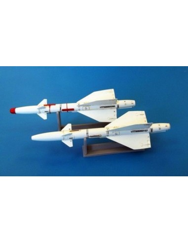 Russian missile R-98T
