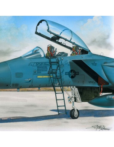 Ladder for F-15