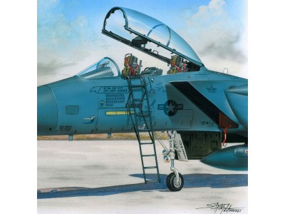 Ladder for F-15