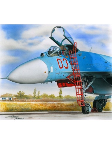 Ladder for Su-27
