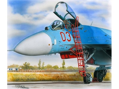 Ladder for Su-27