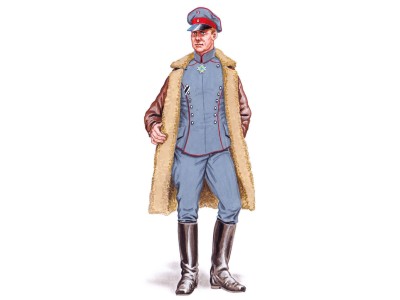 Pilot WWI Albatros