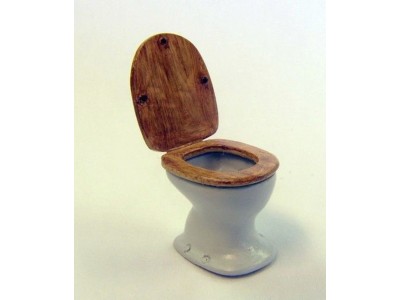 Toilet bowl