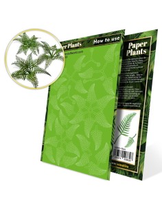 Plantes à Papier - Fougère