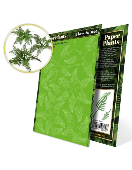 Plantes à Papier - Fougère