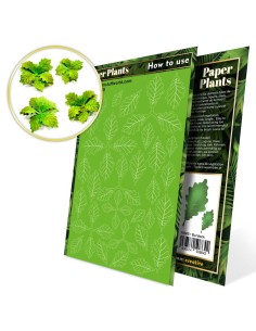 Plantes à Papier - Bardane
