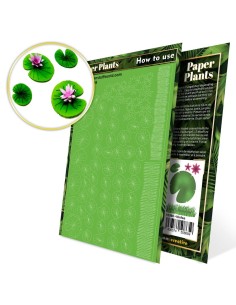 Plantes à Papier - Nenuphars