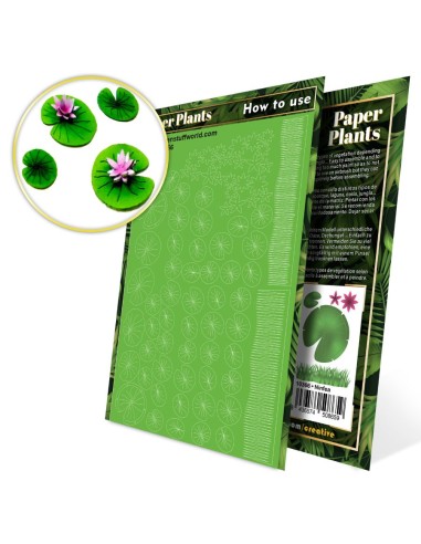 Plantes à Papier - Nenuphars
