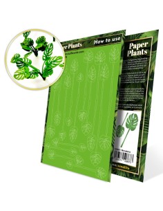 Plantes à Papier - Monstera