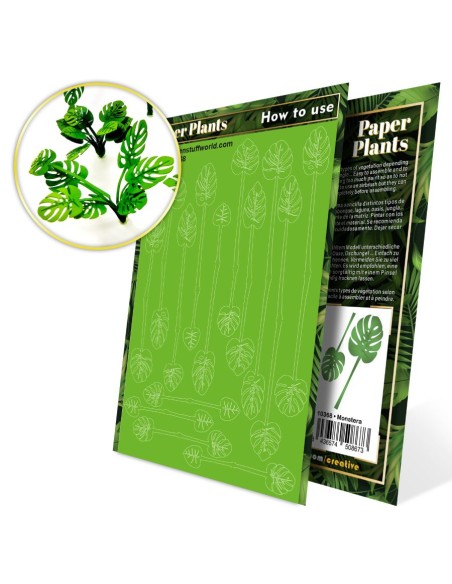 Plantes à Papier - Monstera