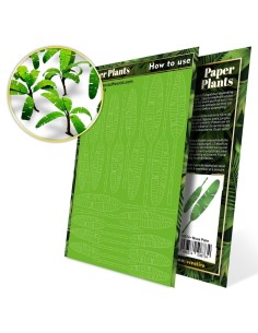 Plantes à Papier - Arbre Musa