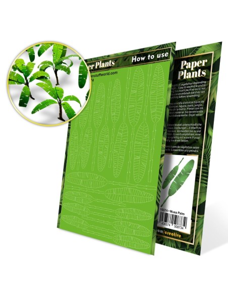 Plantes à Papier - Arbre Musa