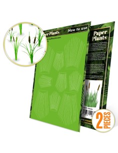 Plantes à Papier - Roseaux