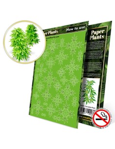 Plantes à Papier - Cannabis